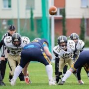Football américain: Les Rhinos et les Saints unissent leurs forces et s'exilent en France
